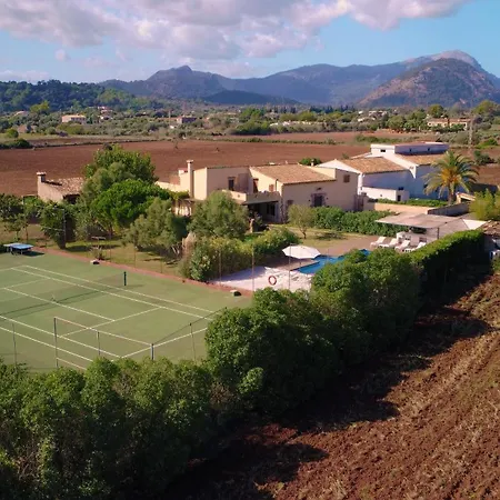 L'eresta Port de Pollença