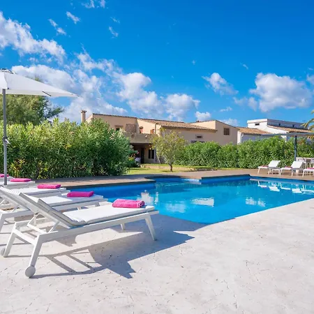 L'eresta Port de Pollença