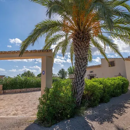 L'eresta Port de Pollença